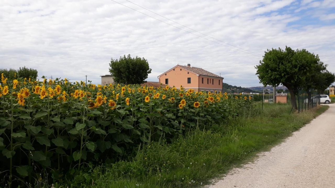 La Dolce Vita Porto Recanati Εξωτερικό φωτογραφία