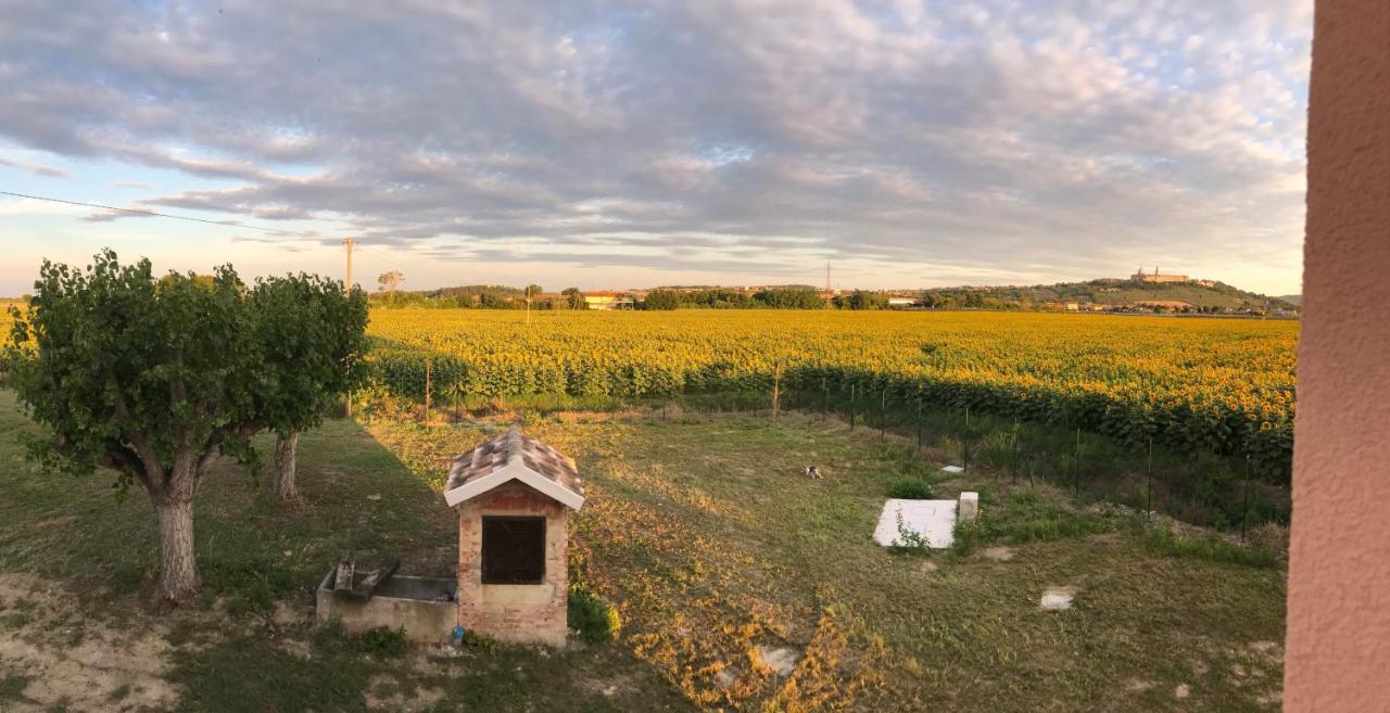La Dolce Vita Porto Recanati Εξωτερικό φωτογραφία