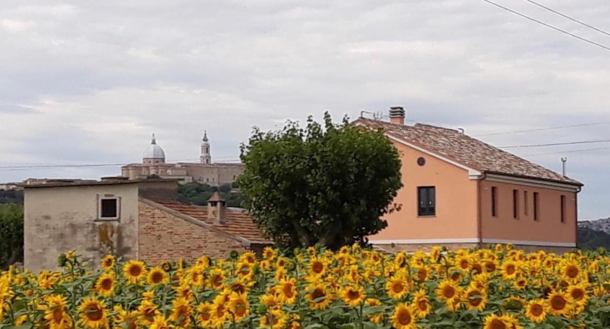 La Dolce Vita Porto Recanati Εξωτερικό φωτογραφία